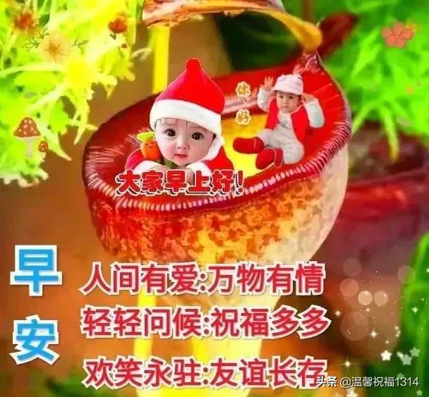 最新早上好圖片，背景、影響與地位