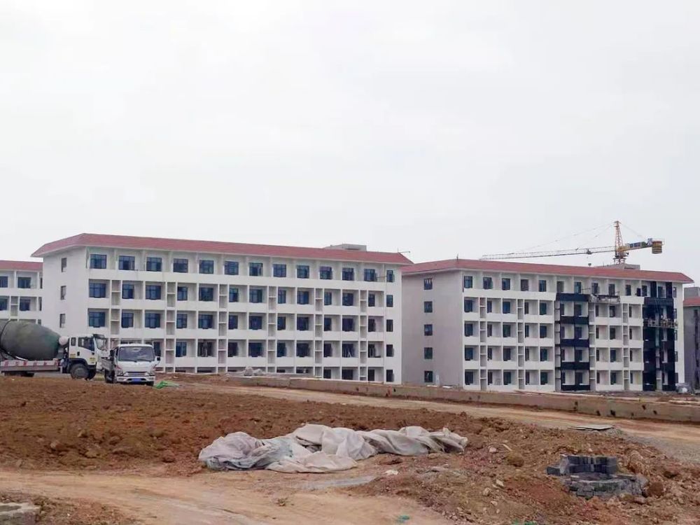 海姆泊芬最新進展突破性消息??