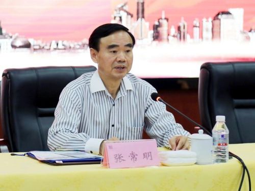 揭秘張常明最新消息，小巷中的隱藏瑰寶