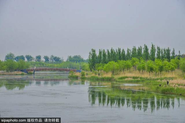 北京馬家灣濕地公園，巷弄綠意與隱秘特色小店探秘
