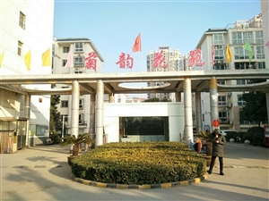 最新社旗獨(dú)家小院出售，市場(chǎng)趨勢(shì)、正反觀點(diǎn)分析與個(gè)人立場(chǎng)探討