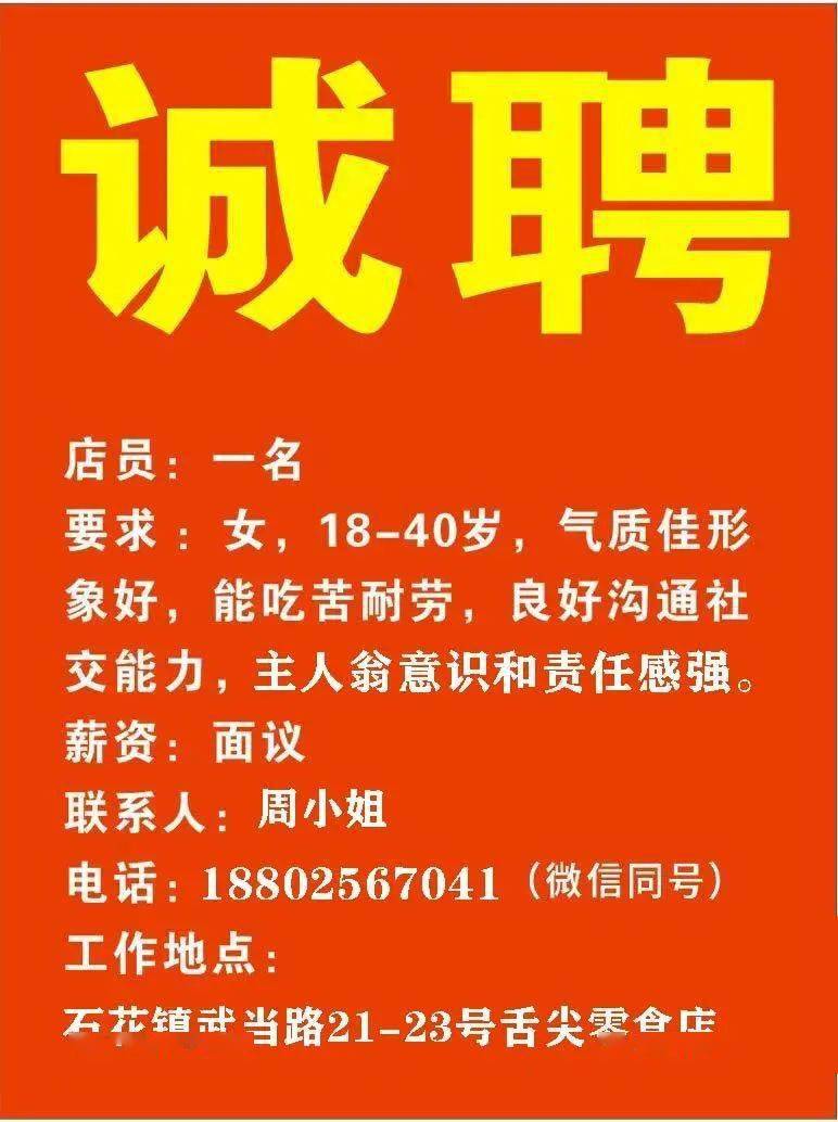 金正陽最新招聘信息發(fā)布，職位空缺及申請指南