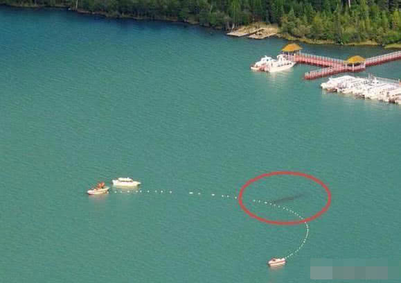 喀納斯湖水怪真相揭秘，探尋神秘之旅的心靈平靜之路