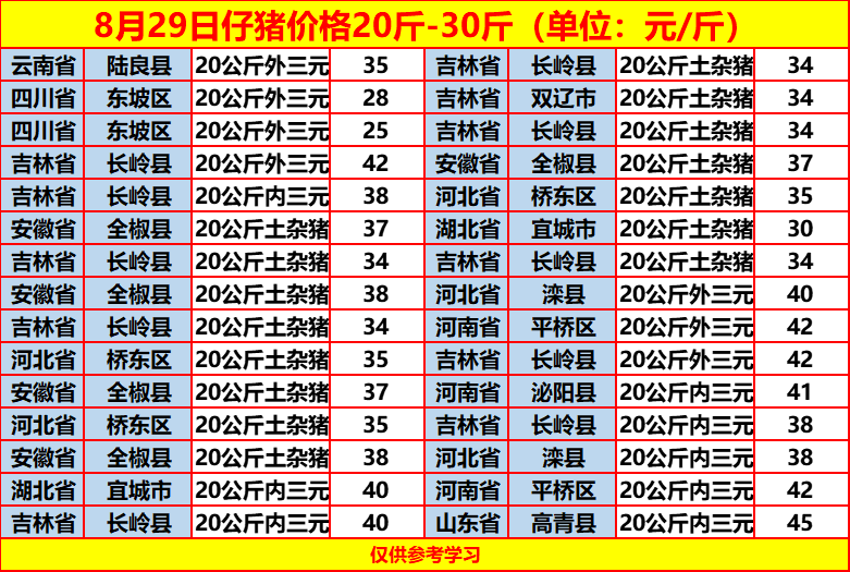 土雜豬最新價格動態(tài)，一場尋找內(nèi)心平靜的旅程