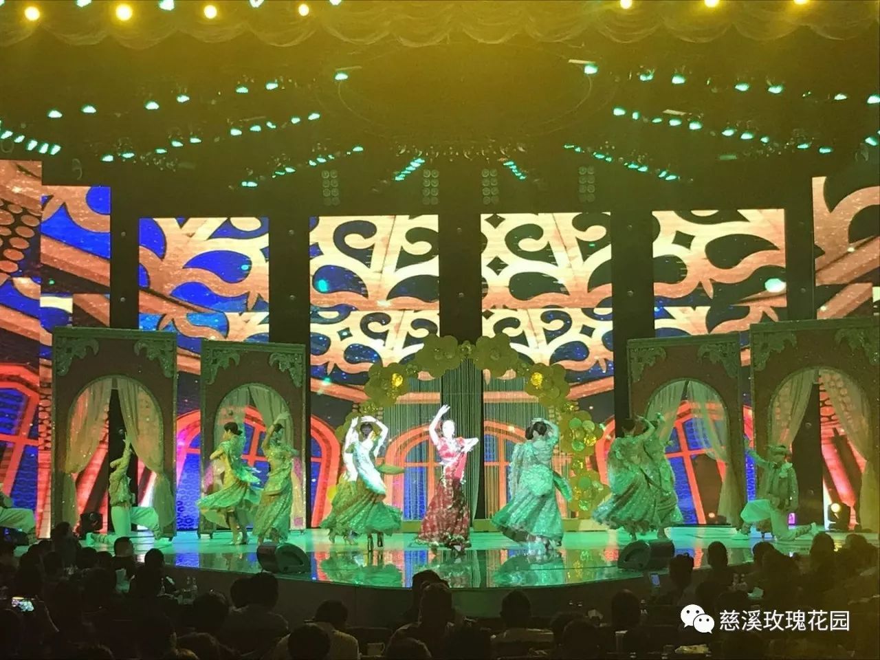 慈溪玫瑰花園最新視頻，綻放的玫瑰盛世美景
